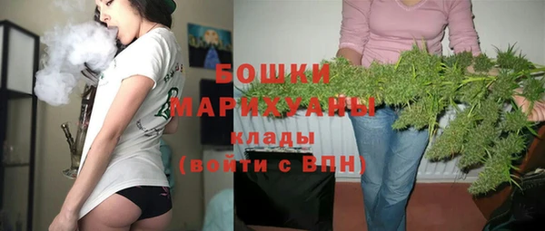 PSILOCYBIN Козловка