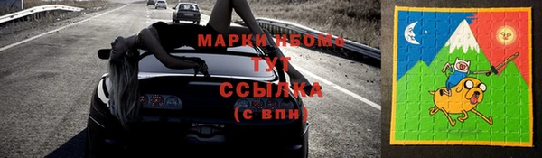 крисы Козельск