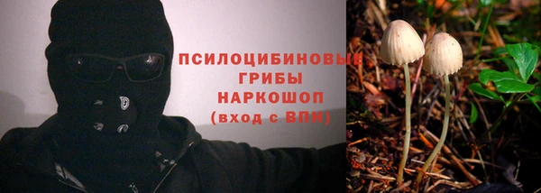 PSILOCYBIN Козловка