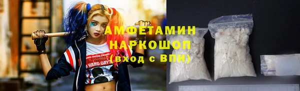крисы Козельск