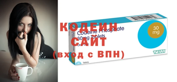 крисы Козельск