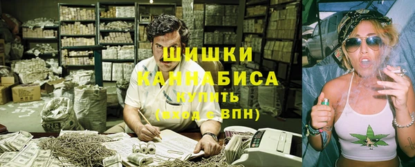 крисы Козельск