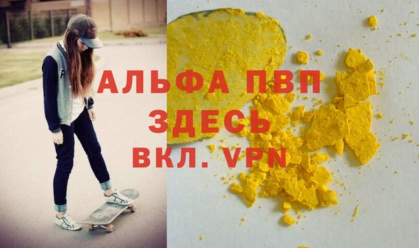 PSILOCYBIN Козловка