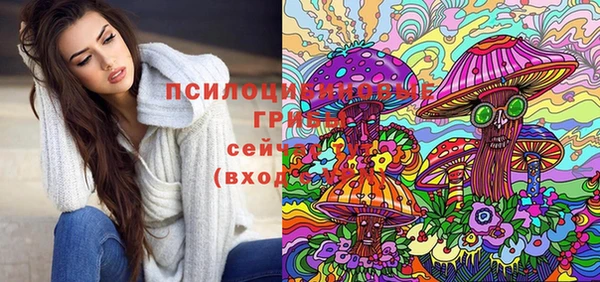 крисы Козельск