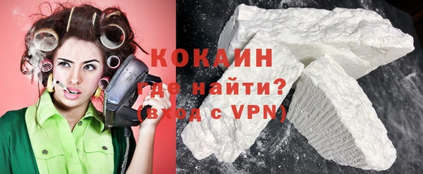 крисы Козельск