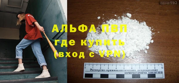 крисы Козельск