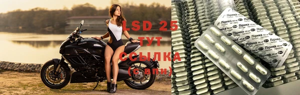 крисы Козельск