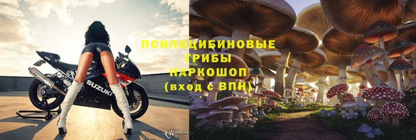 прущий лед Кодинск