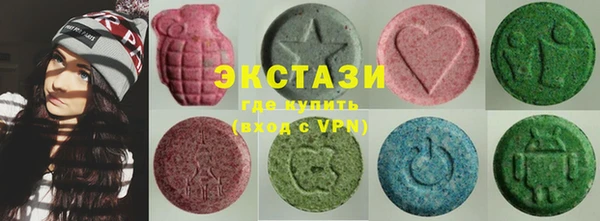 крисы Козельск