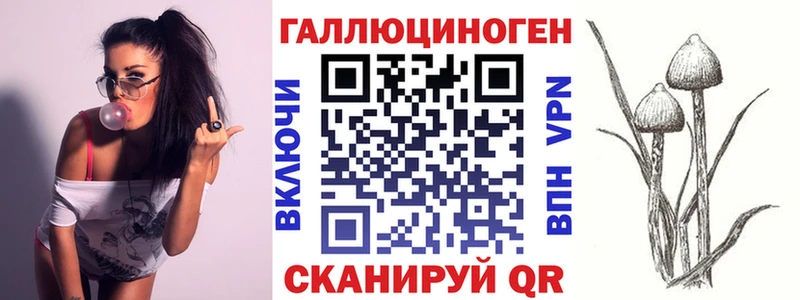 Псилоцибиновые грибы Psilocybe  Купить закладки  Гай 